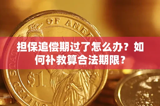济南担保追偿期过了怎么办？如何补救算合法期限？